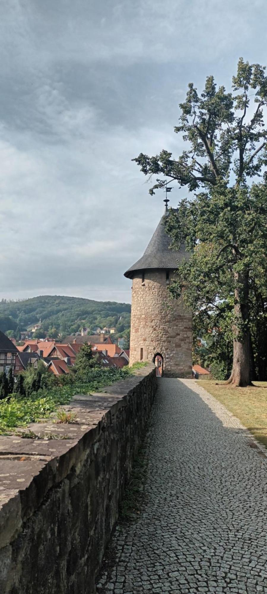 Spatzennest Wernigerode Kültér fotó