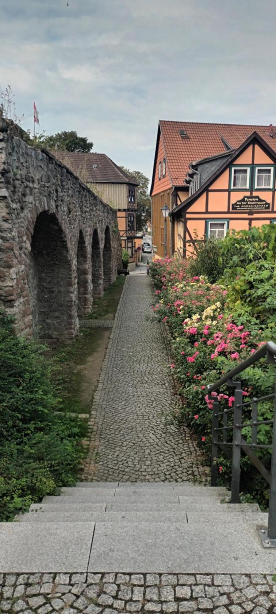 Spatzennest Wernigerode Kültér fotó